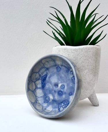 La coupelle bubble blue