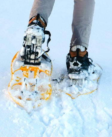 Raquetas de nieve