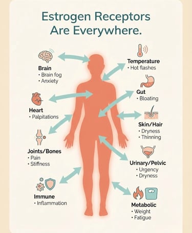 Body systems infographic showing nine areas affected by perimenopause — from brain and heart to gut, skin, and bones