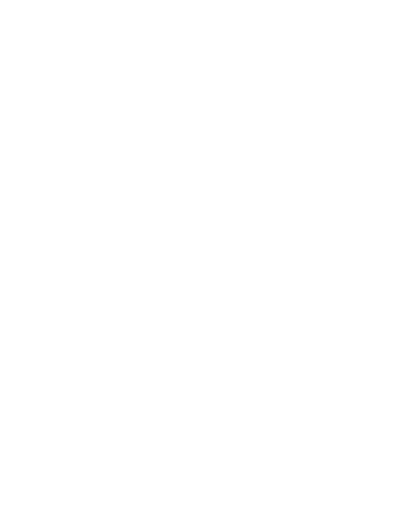 solidproof shield