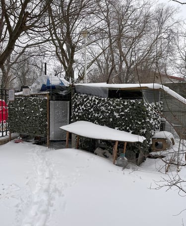 Pisicăria under a bit of a siege