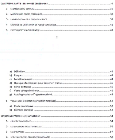 suite de la table des matières de l'ebook de développement personnel sur la gestion des émotions