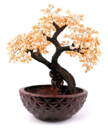 Fonte bonsai de citrino