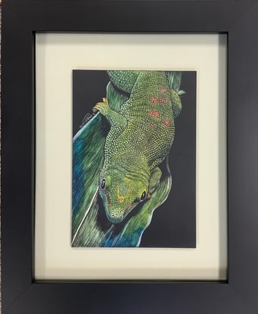 Framed colored scratchboard of a green Madagascar giant day gecko on a tropical leaf.