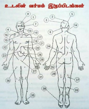 Vetrivel Health center best chiropractic and varamam theraphy 