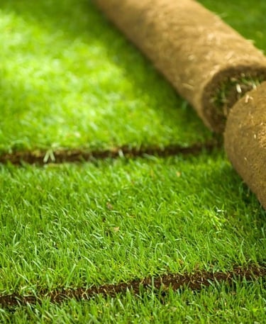 peyzaj tasarımına uygun yerleştirilmiş dekoratif taş duvar