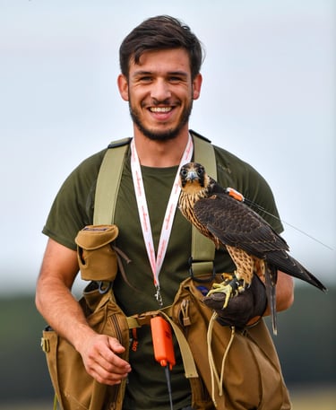 gérant de falco eco solutions