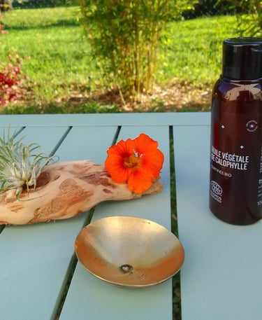 Soins au bol kansu à Laillé