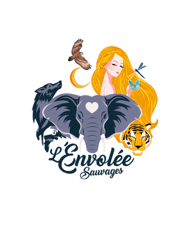 Boutique l'envolee sauvages Avignon