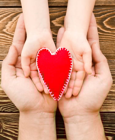 assicurazione sanitaria spagna