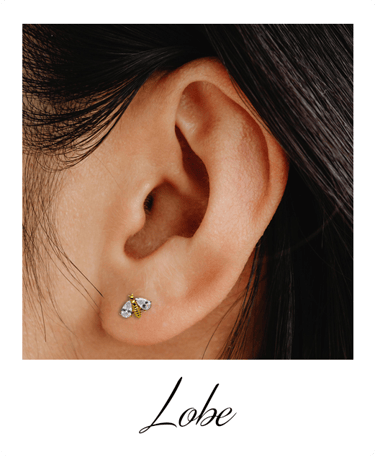 helia-piercing-lobe