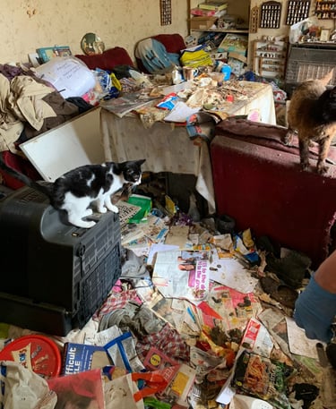 extreme cleaning services