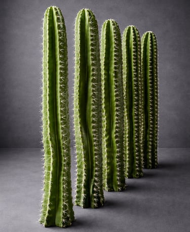 cactus decorativos de fibra de vidrio