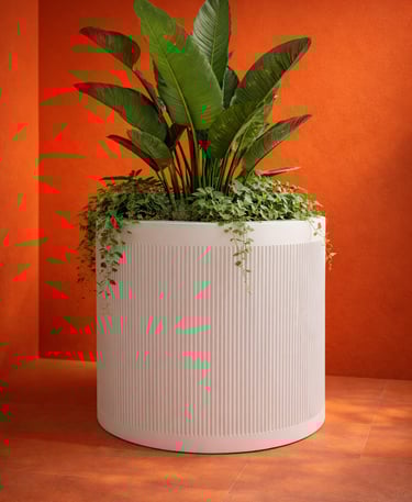 Maceta blanca porosa en fibra de vidrio 