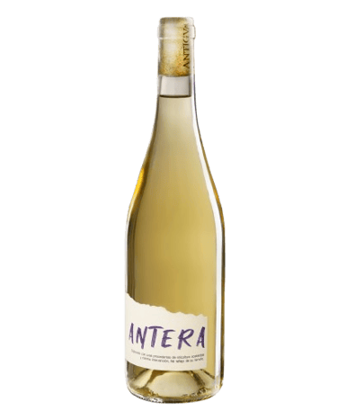 Antera - Verdejo cepas viejas La Mancha serie limitada menos de 900 botellas