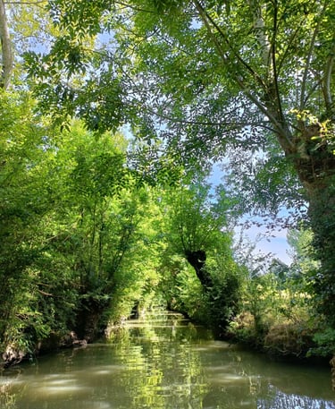 bilan de compétences Redon
