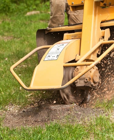 stump grinding