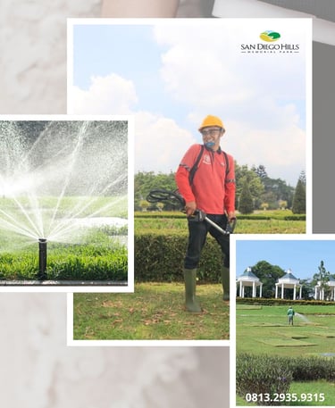 Petugas lanskap sedang merapikan rumput di pemakaman San Diego Hills Memorial Park Karawang sebagai