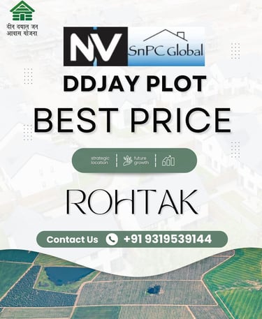 NV CITY ROHTAK