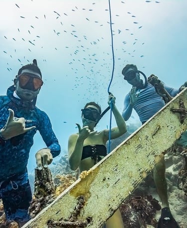 Freediving community on Curacao