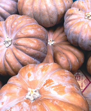 a bunch of pumpkins and other pumpkins