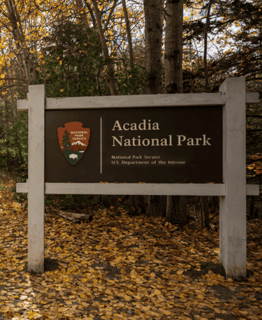 Acadia National Park, one of the best US National Parks for Summer 2025, showcasing its rugged coast