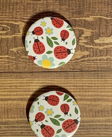 Set of 2 Lady bug circle metal and mylar magnets