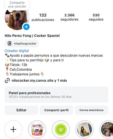 perfil de instagram de @nilopfongcocker
