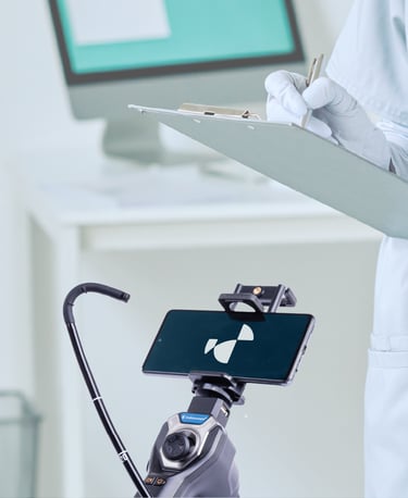 Application de l'identité visuelle sur support mobile