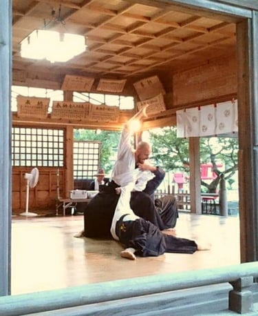 Lucas sensei demostrando una tecnica contra varios atacantes en una exhibición de artes marciales