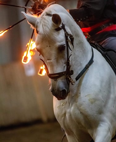 Rênes à la ceinture et éventails de feu
