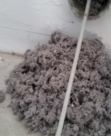 Drier lent removal for Fort Myers Florida