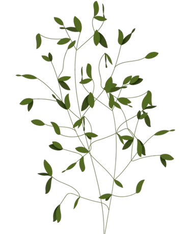 Dr Petrina Brett, Psychologist: Perinatal & Adult Therapy UK