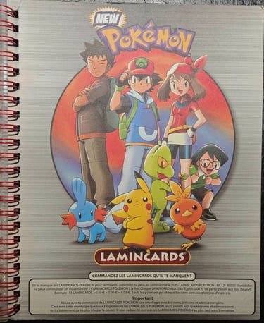 Classeur Lamincards Pokémon série 3 page 3