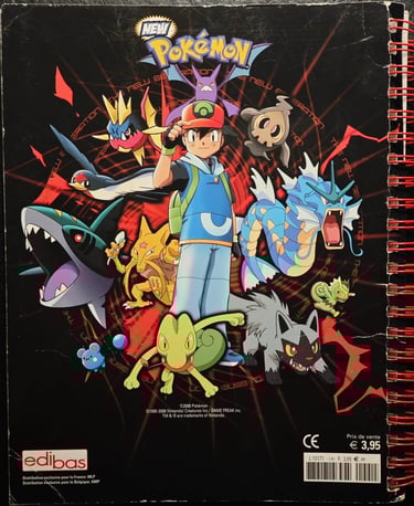 Classeur Lamincards Pokémon série 3 page 4