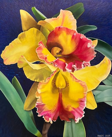 Yellow and Fuchsia Double Cattleya