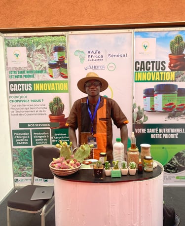 Challenge Ayute Africa valorisation de Cactus Innovation