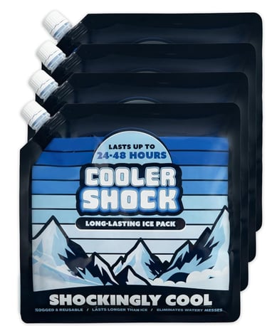 Disneyland reusable cooler packs