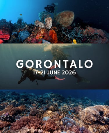 Orca Dive Team Gorontalo Trip