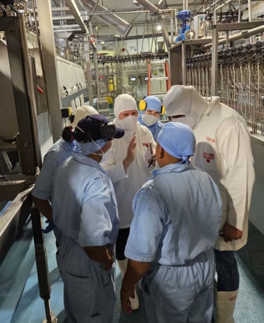 Expertise - audit personalisé