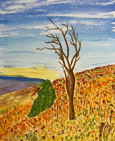 Original watercolor painting of a solitary tree leaning left in an autumn Shenandoah landscape