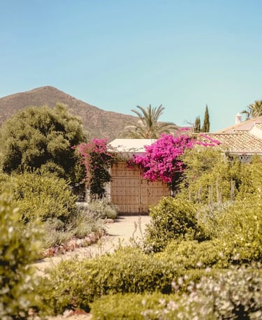 Garden entrance with wooden gates, bougainvillea and mountain backdrop