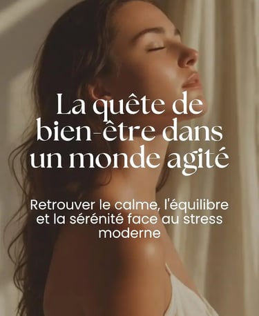 couverture ebook la quète de bien être