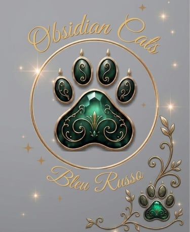 LOGO PATTES DE CHAT OBSIDIAN CATS