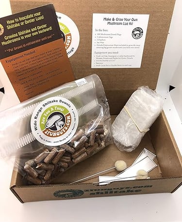 a box of wood chips in a box