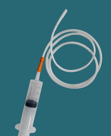 a feeding tube with a feeding syringe