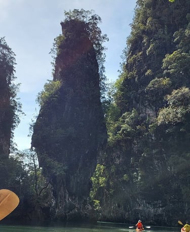 krabi ao thalane bay kayaking mangrove forest