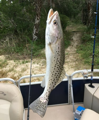 a fish caught in a fishing boat