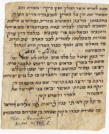 Hebrew letter sent to Linnaeus 