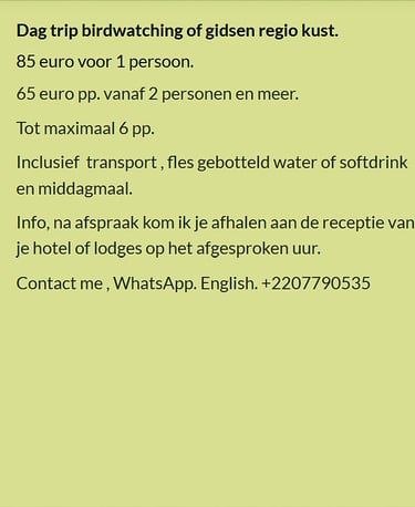 Flyer dagtrip birdwatching aan de kust in Gambia. Prijs €85 voor 1 persoon of €65 p.p. vanaf 2 perso